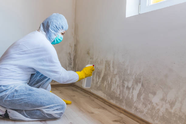Hvac And Air Duct Mold Remediation inspection of HVAC system in Fredericksburg